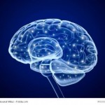 Börsenpsychologie – Gier, Angst und Rationalität